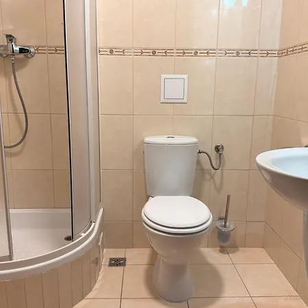 Hotel Olimpia Osrodek Przygotowan Sportowych Rybnik (Silesia)