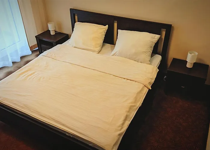 Olimpia Osrodek Przygotowan Sportowych Rybnik (Silesia)