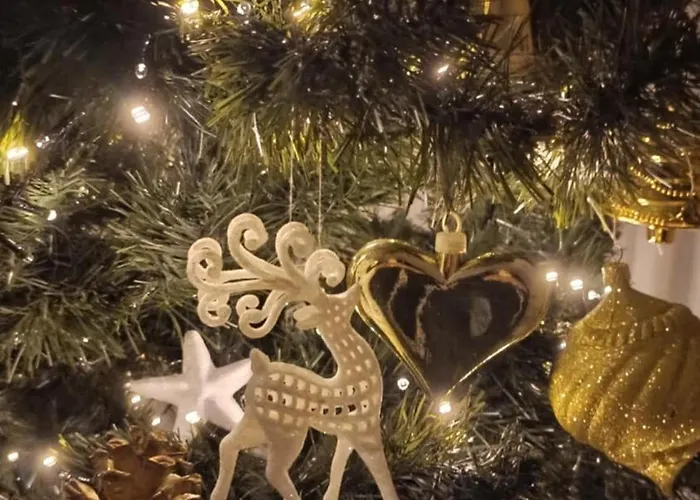 Olimpia Osrodek Przygotowan Sportowych * Rybnik (Silesia)